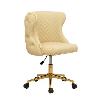 Customer Beauty Salon Chair Diamond