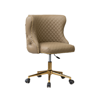 Customer Beauty Salon Chair Diamond