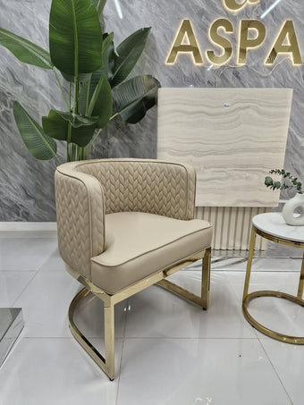 Customer Beauty Salon Chair Chelsea Leather
